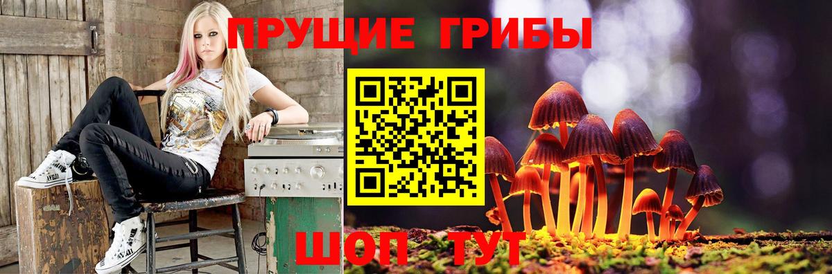 Канабис Осинники